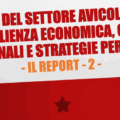 foto apertura analisi ITA