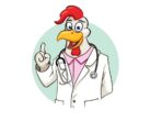 Rooser doctor with stethoscope vector illustration