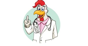 Rooser doctor with stethoscope vector illustration