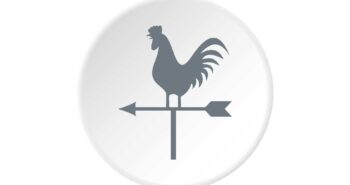 foto-apertura-141_c2sxXzIxM18xNA-osservatorio