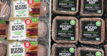 Depositphotos_423986936_L plant based