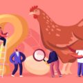 foto-apertura-paradox-uova-e-gallina-1110x630