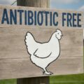Depositphotos_896076668_XL antibiotic free-cmpr2