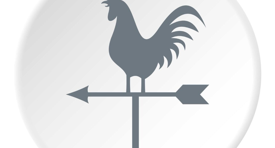 Weathervane rooster icon. Flat illustration of weathervane rooster vector icon for web