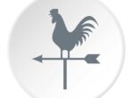 Weathervane rooster icon. Flat illustration of weathervane rooster vector icon for web